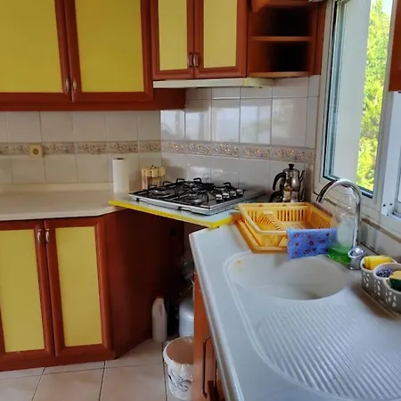 Yemyesil Tertemiz Havali Koey Evi 3*